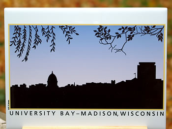 tile DS-002-68 University Bay 8333